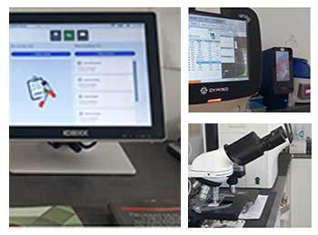 Laboratory - Laboratorio